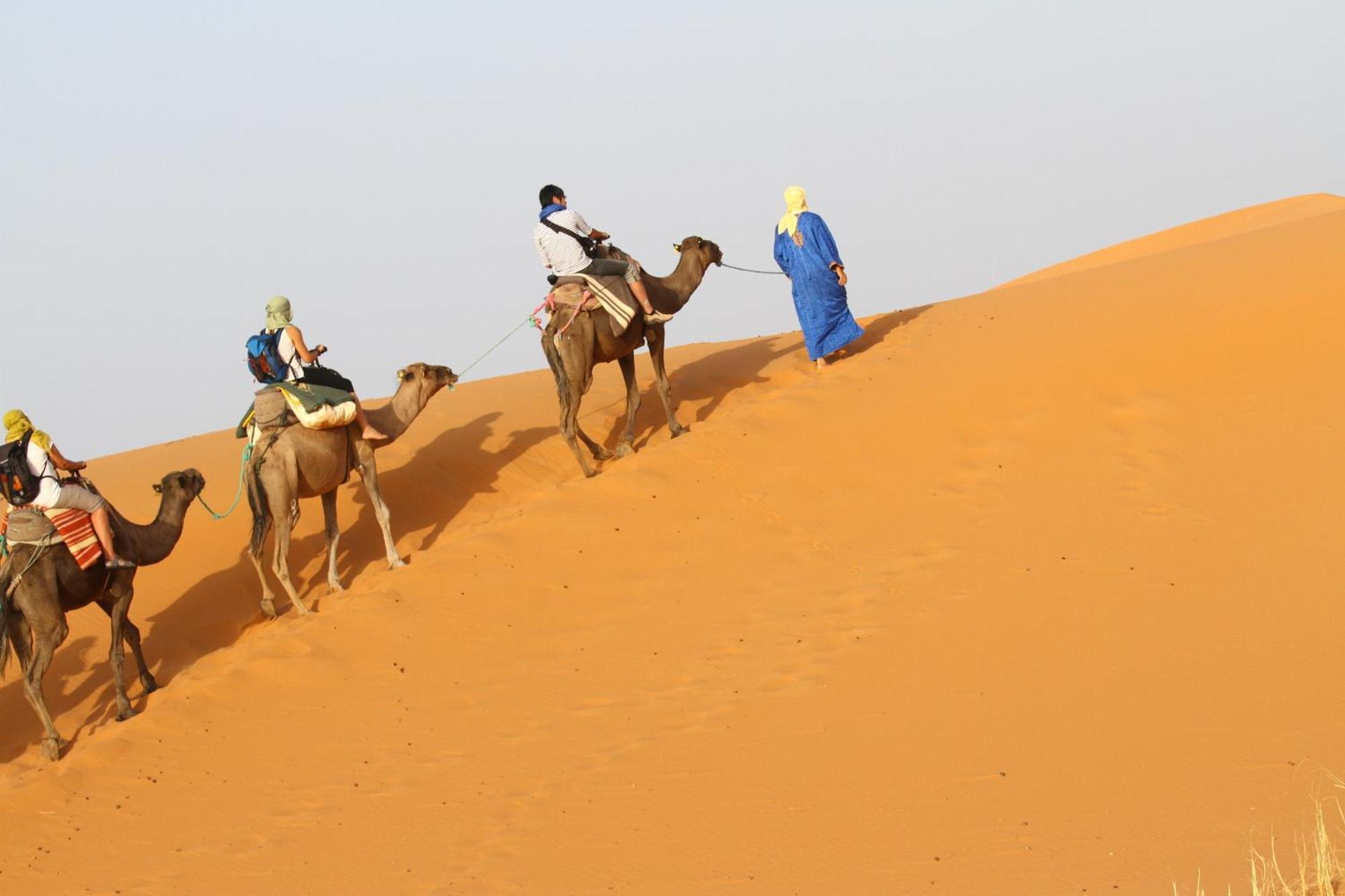 مبيت وإفطار مرزوكة Kasbah Tamariste المظهر الخارجي الصورة