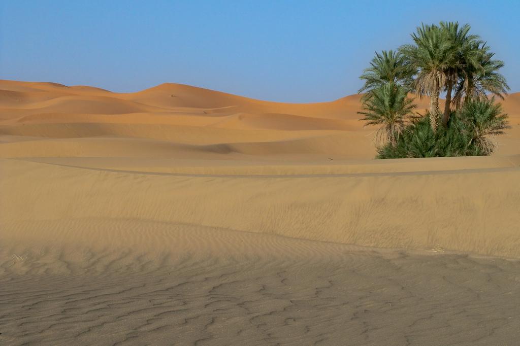 مبيت وإفطار مرزوكة Kasbah Tamariste المظهر الخارجي الصورة