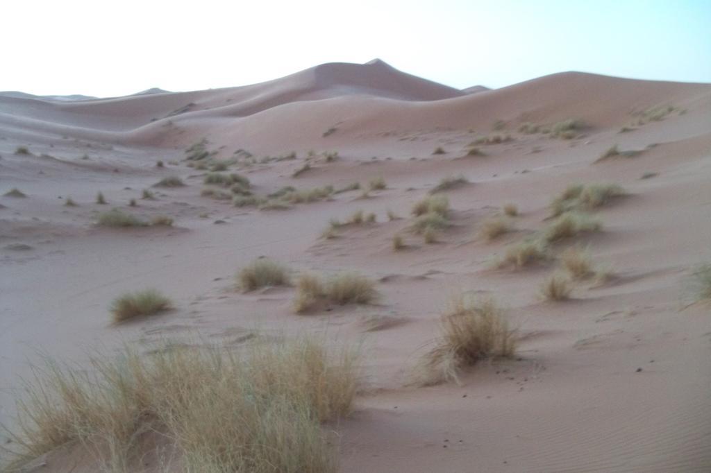 مبيت وإفطار مرزوكة Kasbah Tamariste المظهر الخارجي الصورة