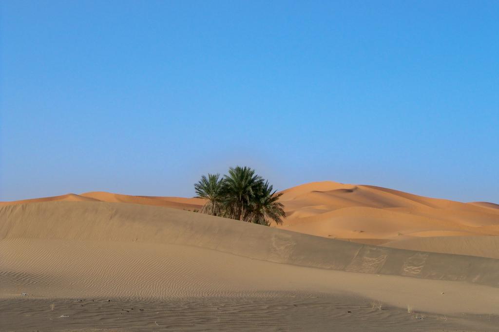 مبيت وإفطار مرزوكة Kasbah Tamariste المظهر الخارجي الصورة
