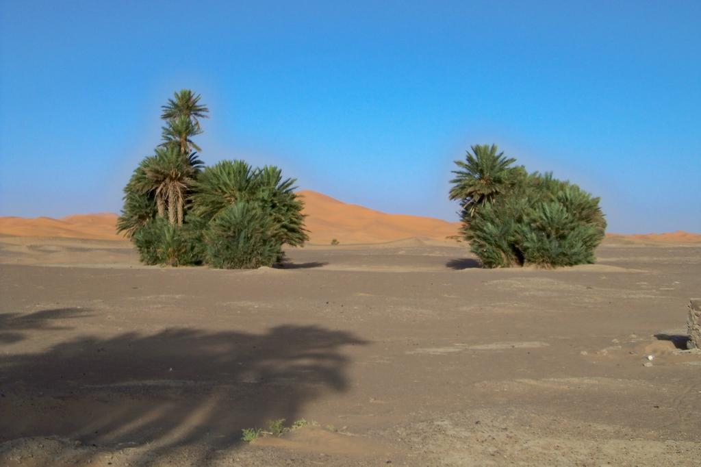 مبيت وإفطار مرزوكة Kasbah Tamariste المظهر الخارجي الصورة